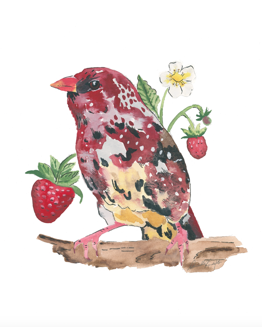 Strawberry Finch and Strawberries-Canvas