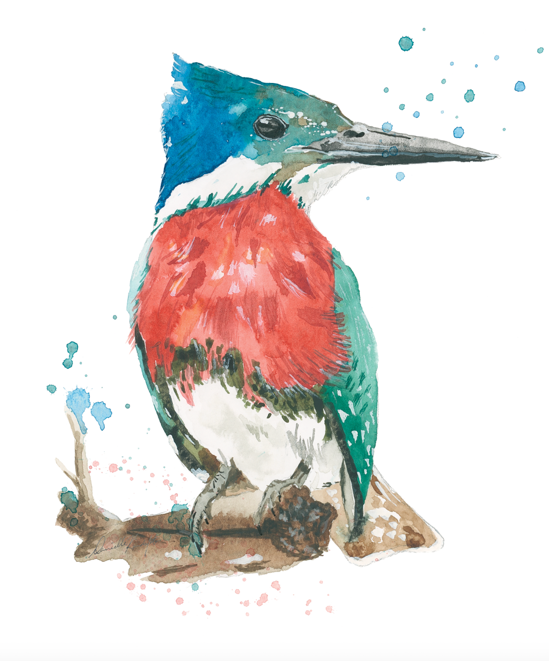 Kingfisher-Canvas